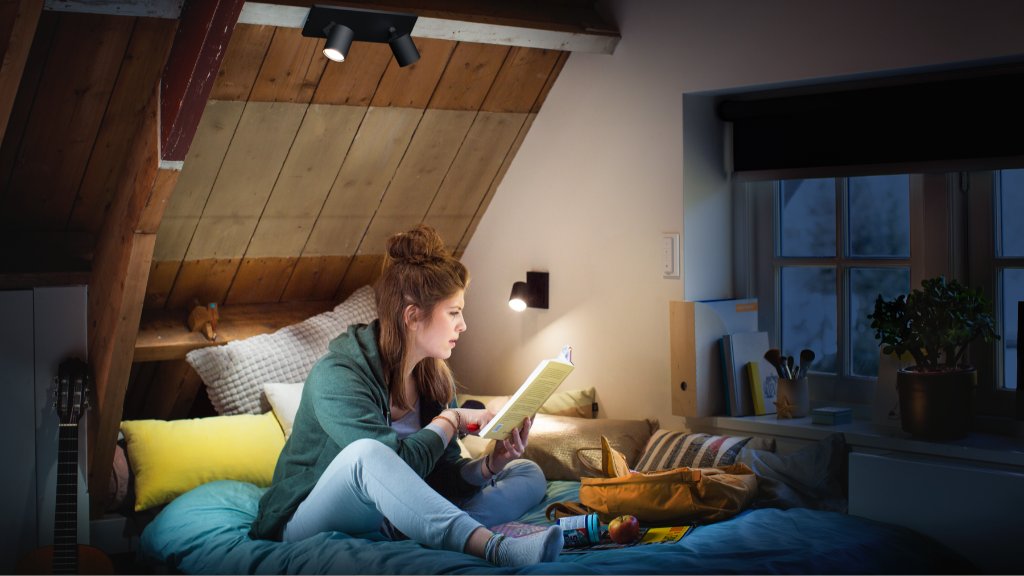 Elektricien huiselijk retort Philips Hue on Twitter: "Know Hue: The Hue Bridge stores scenes and  routines to help you use your lights the way you want. Read late at night?  Create a scene that only
