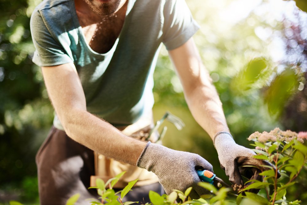 In today's article we’ll discuss how to spruce up your garden with plenty of time to prepare for the warmer days! 🌞 ow.ly/WEKU30qrkyf