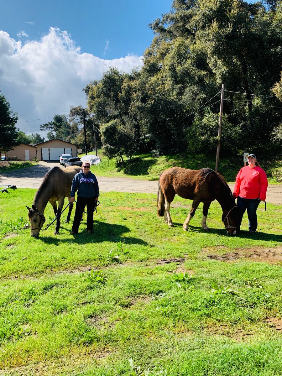 reinsprogram's tweet image. Instructors Kaitlyn and Alyssa doing some social distancing from each other but getting lots of snuggles from their #therapyhorse buddies out on the trail this week.