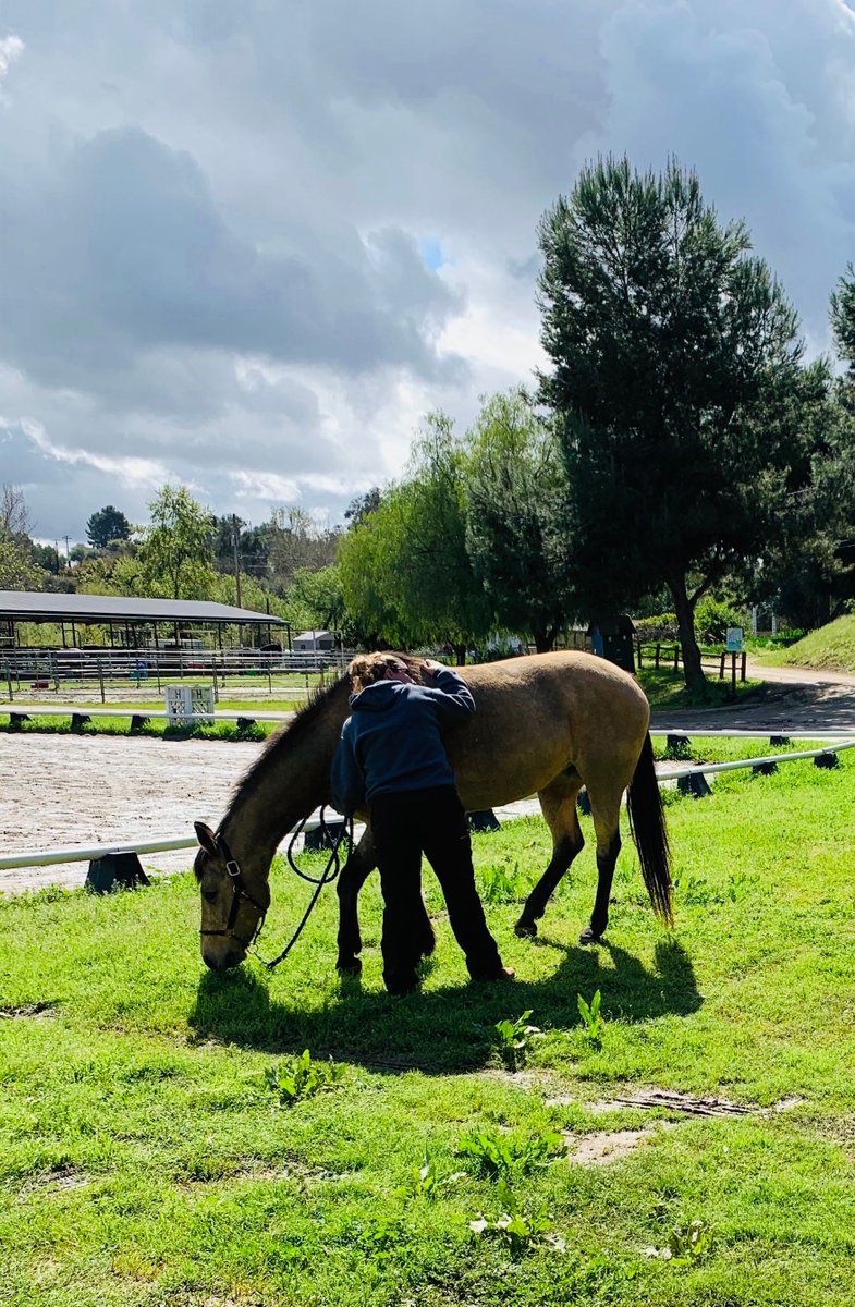 reinsprogram's tweet image. Instructors Kaitlyn and Alyssa doing some social distancing from each other but getting lots of snuggles from their #therapyhorse buddies out on the trail this week.