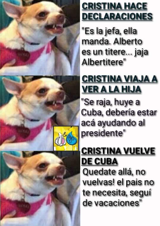 maria taguada tweet media