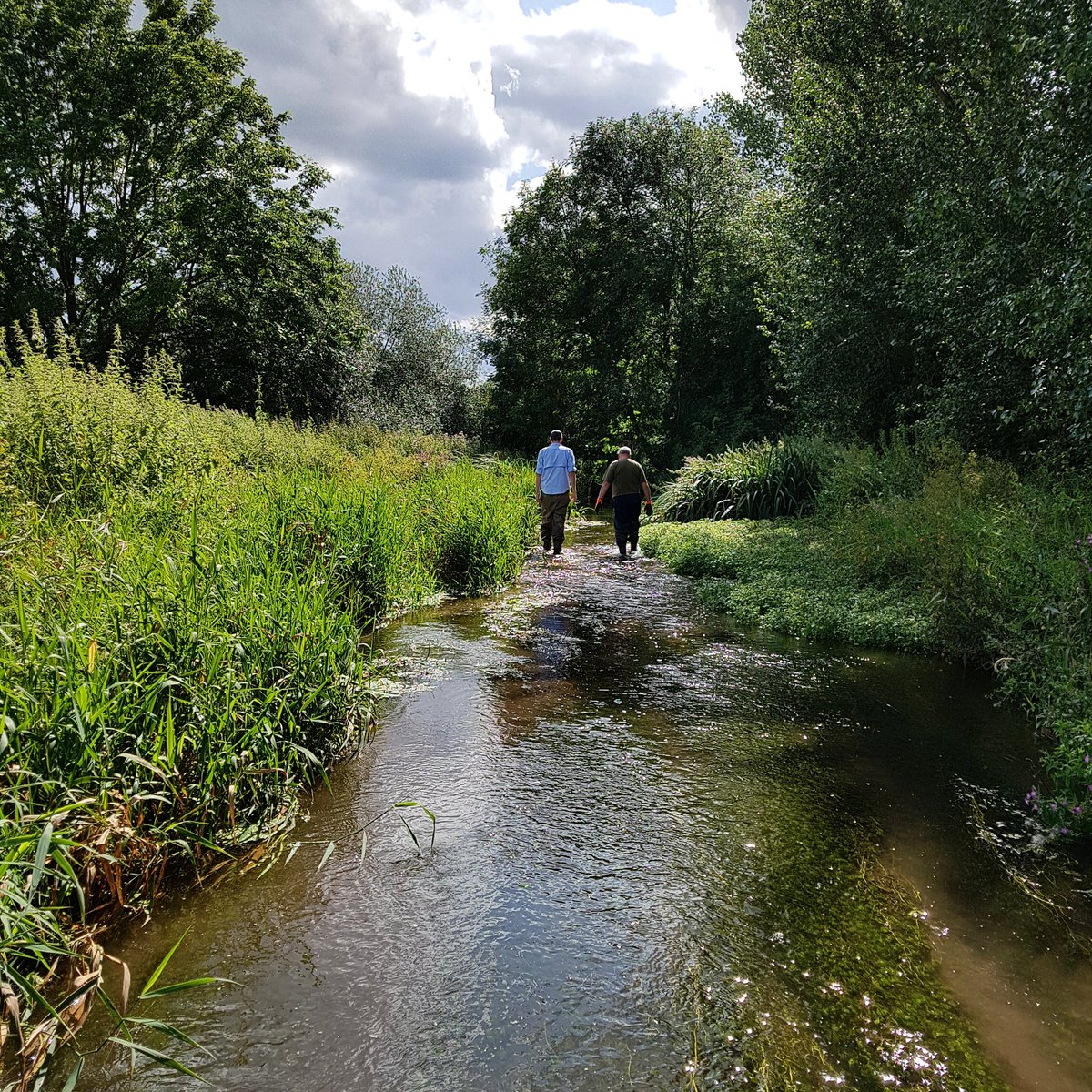 m_h_shelton's tweet photo. 😝We got 5 years @Lottery_UK funding for #WatercressAndWinterbournes 💦Landscape-scale wins 4 #chalkstreams &amp; #people
THANK YOU to #nationallottery players for £££. Shout out to my #community groups!✊@HantsIWWildlife @WessexRivers @EnvAgency #teamwork https://t.co/Ig15EsjXKV