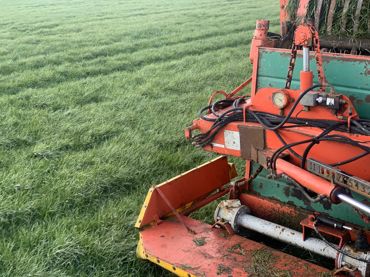 Gary Mitchell tweet media