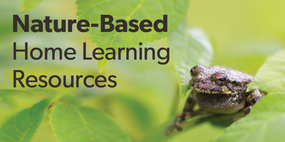 It’s going to be a while before schools are open, so we consulted our outreach, stewardship, restoration and ecology experts (most are parents of young children!) for some ways to keep your kids busy and teach them a bit about nature. 🌿🌿 Click here: conservationhalton.ca/nature-home-le…