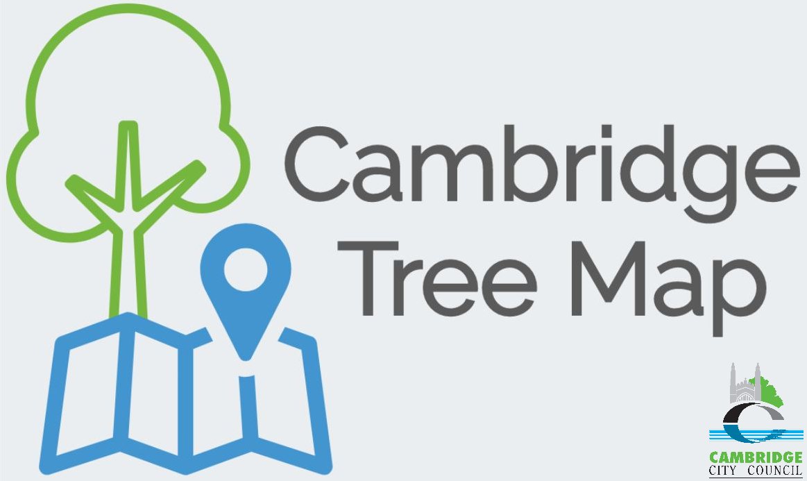 CamCanopyProj's tweet photo. 1/2 #UrbanForestFriday - if you're looking for a small escape from the many stresses we're currently surrounded by & would like to contribute to a valuable #CitizenScience project whilst getting some valuable fresh air, you could help us map #Cambridge's #Trees! #CambridgeTreeMap https://t.co/yadtkfxkzA