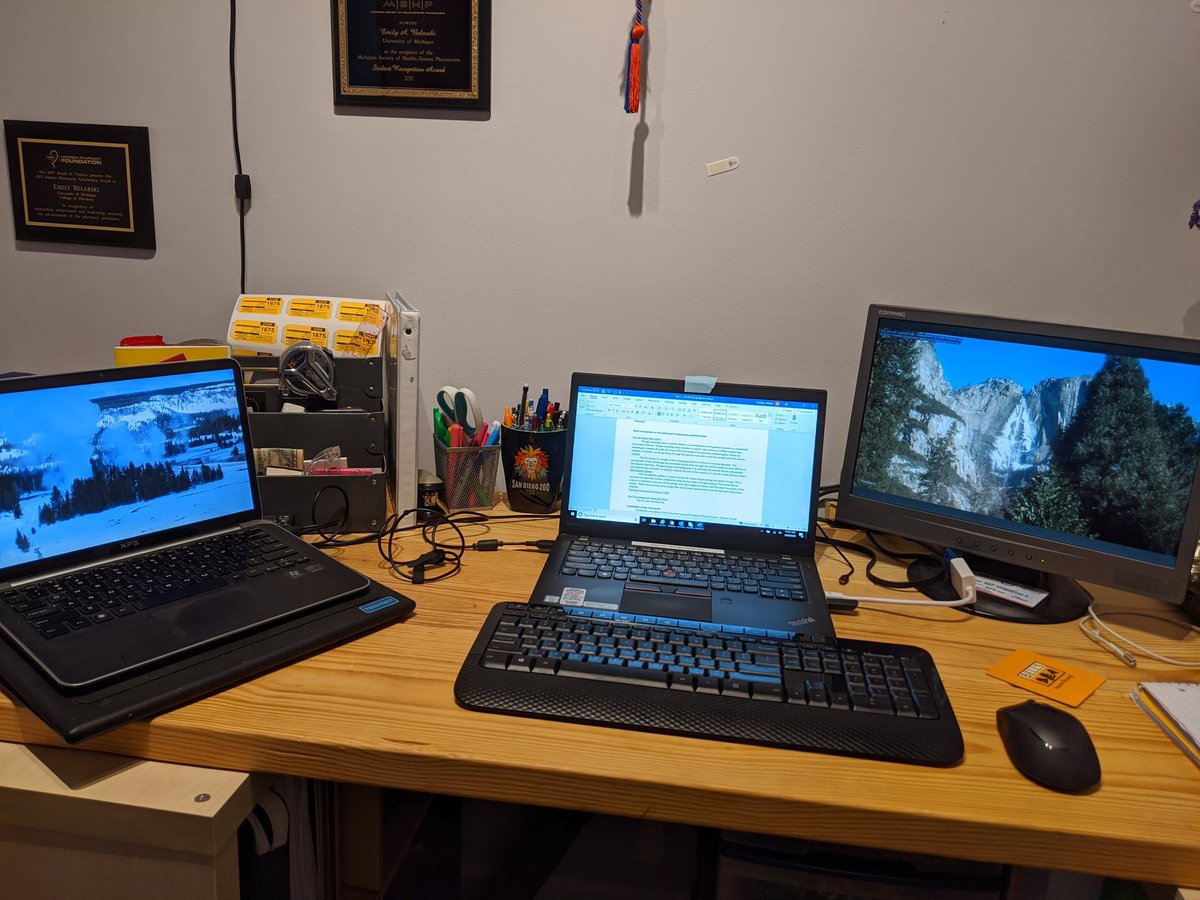 Day 3, hour 4Perk / work from home tip: National Park livestreams! I'm currently streaming both the  @YosemiteNPS webcam and the  @YellowstoneNPS webcam  #workingfromhome  #wfh  #ScienceFromHome  #yellowstone  #yosemite