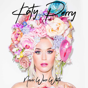 Perryvotes's tweet photo. Olá, KatyCats!
Segundo o resultado da enquete de ontem, farei um mutirão para ajudar nas views de NWW hoje às 20:30 (horário de Brasília)!!
PARTICIPEM!!
DIVULGUEM PARA NOS REUNIRMOS VIRTUALMENTE!
#NeverWornWithe #StreamNeverWornWhite https://t.co/FrUmlGCgtS