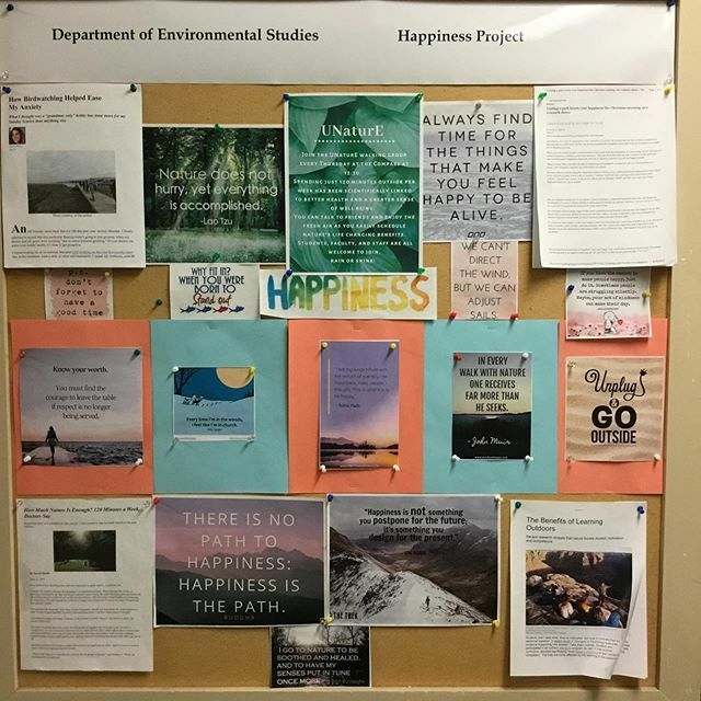 Have a little happiness! See you online next week!