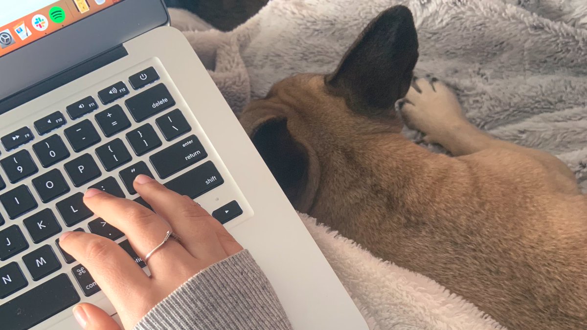 TheAshleyMacey's tweet photo. Anyone else’s ‘social distancing’ and WFH camera roll just 2,000 pictures of their dog napping by their laptop? No, just me? #Covid_19 #WFH https://t.co/nEFPokRubu