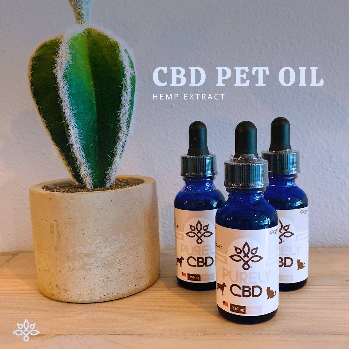 purelycbd_uni's tweet photo. Did you know that we have CBD products for you and your furry companion?! Come into University to sample some! #pcbd #university https://t.co/AP384aUDa3