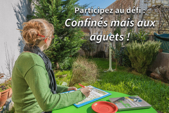 Participez au défi « Confinés, mais aux aguets ! » et comptez les oiseaux ! dlvr.it/RSFy8j