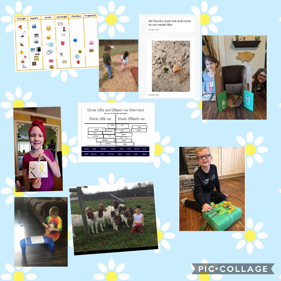 Highfalls 2nd Grade tweet media