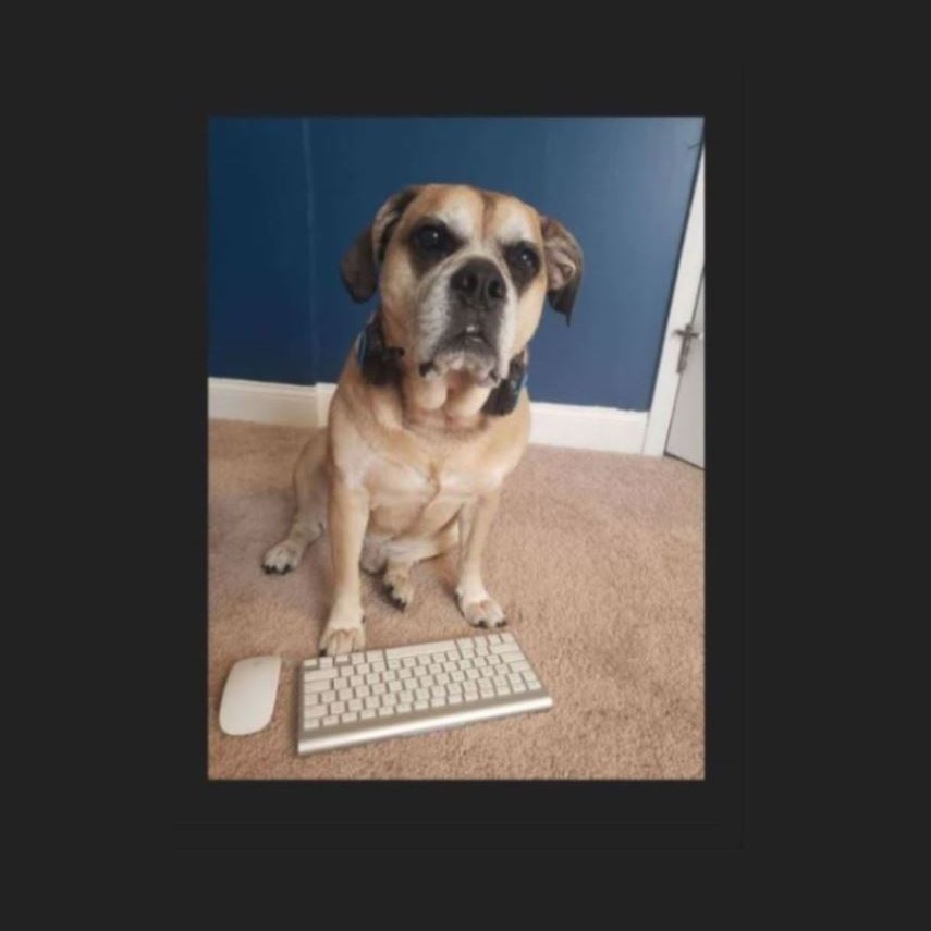 FootholdMeghan's tweet photo. #FTofficeanimals My office buddy - Buster 🐶💕 https://t.co/oODEPidvud