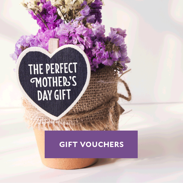 Why not treat your Mum to a trip to one of our inns in the future, with a gift voucher for Mother's Day?
Discover more ➡️ inncollection.wearegifted.co.uk
#MothersDay #InnCollectionGroup #GiftVoucher