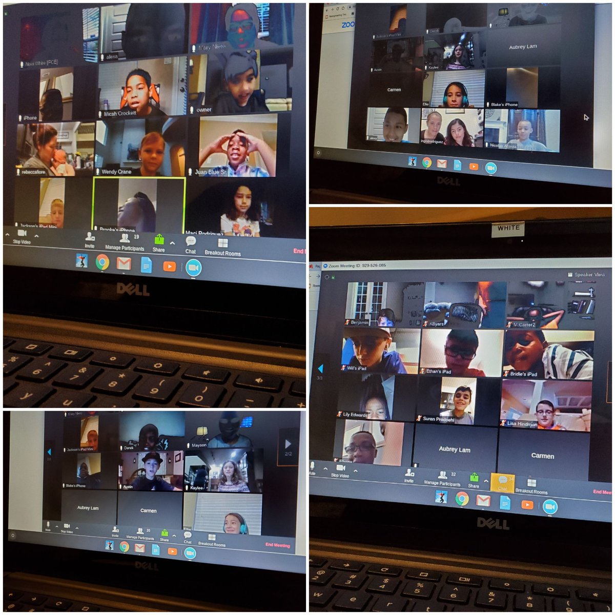 mrsnwhite_fce's tweet photo. @MrsRFiore, Mrs. Nieto, and I really enjoyed zooming with our kids this morning! They were so excited to see/talk to one other. General consensus...we need class management on zoom. 😂😂Miss them! #classclassclass #smallgroup #wheresthedoorbellclicker #oneatatime @HumbleISD_FCE https://t.co/J2w9Eopj11