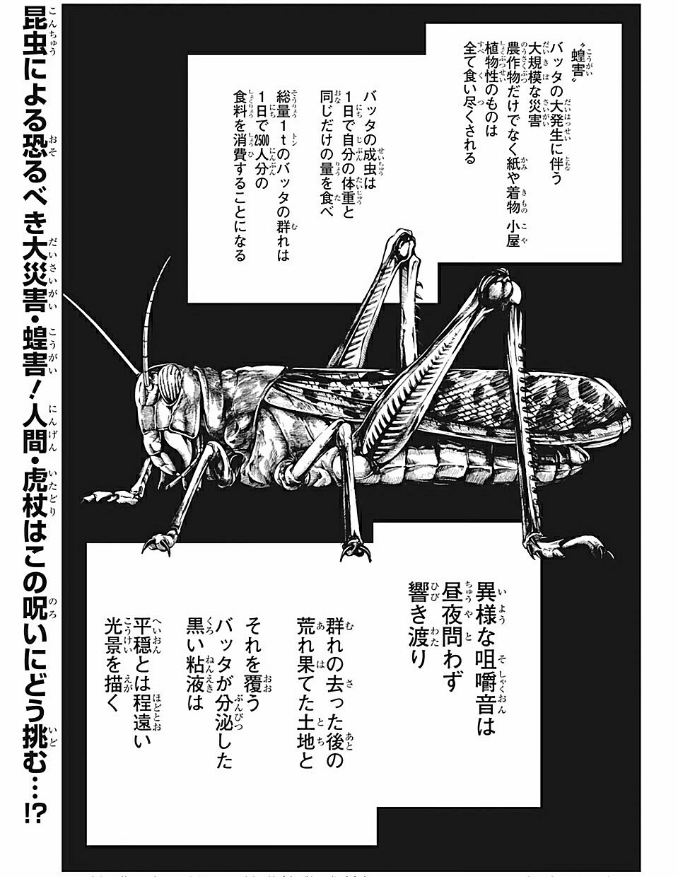 Ka Tayama 芥見下々 呪術廻戦 第87話 渋谷事変 が週刊少年ジャンプに掲載されたのが令和元年 19 12月9日 Abc朝日放送 教えて Newsライブ 正義のミカタ でサバクトビバッタによる蝗害 こうがい をとりあげたのが令和2年 3月14日である