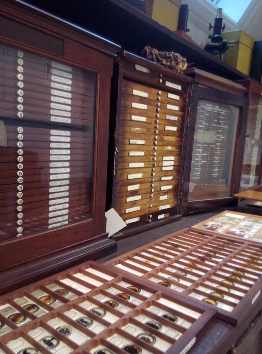 Herbarium Manchester tweet media