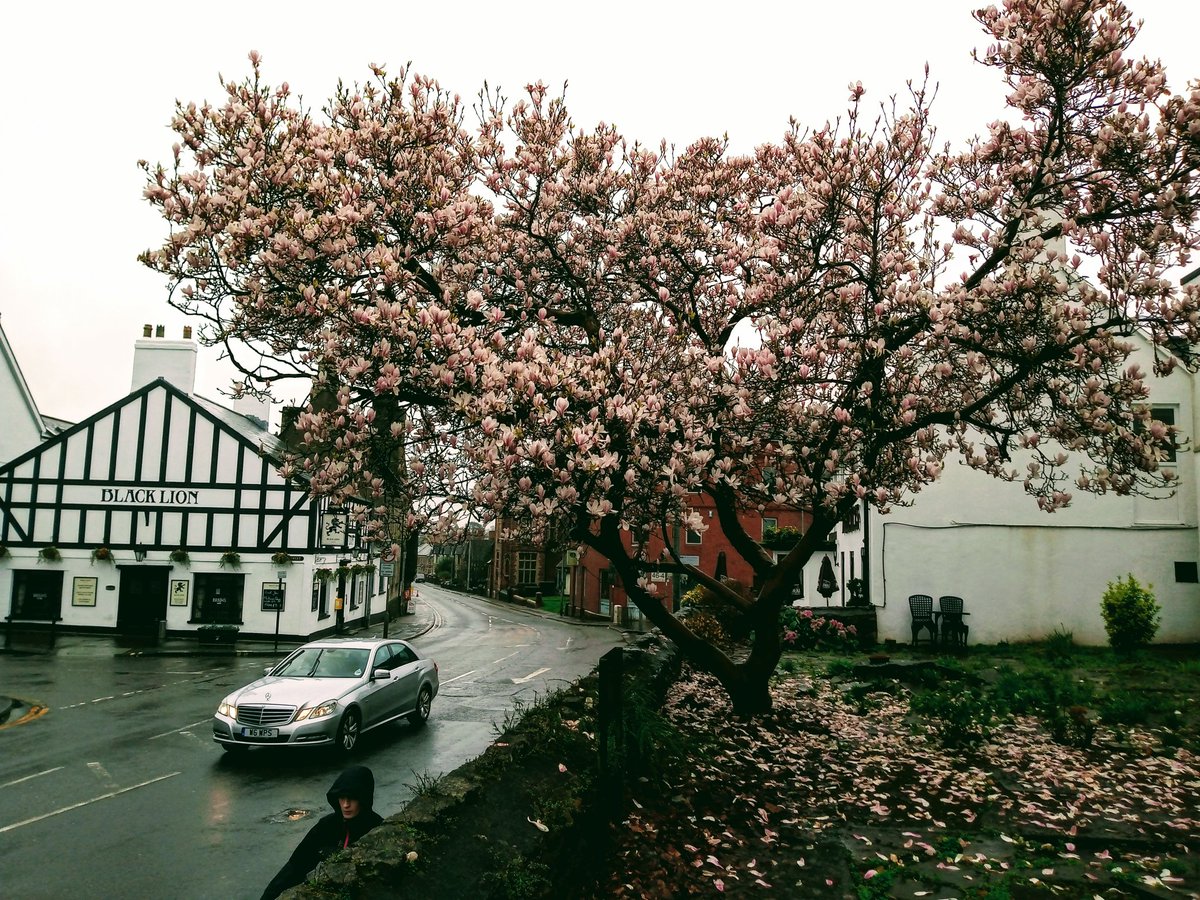 Tim Hartley tweet media