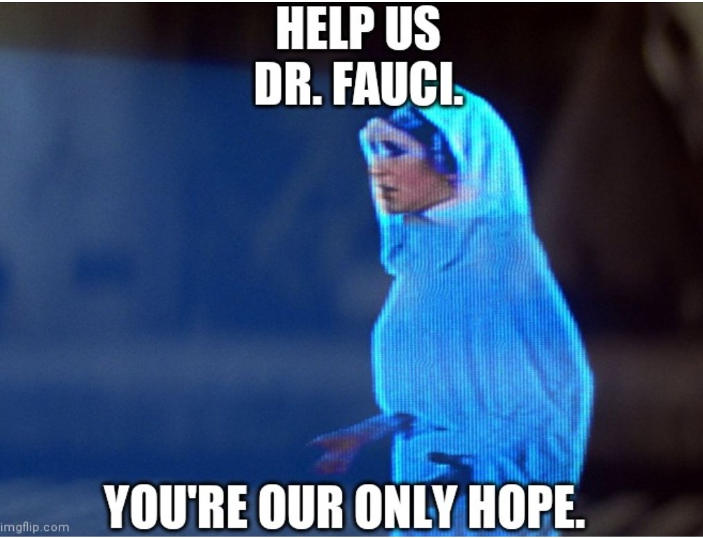 Denise Irene on Twitter: "Dr. Fauci is the real spice of ...