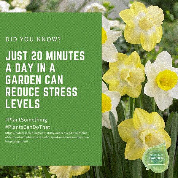 Andy Sausser (@andysausser) on Twitter photo 