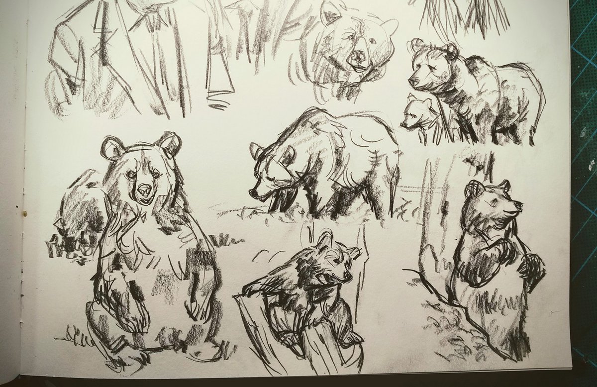 Bunch of bear doodles? Bunch of bear doodles.
And I guess I'll do the start / finish thing as well ? 