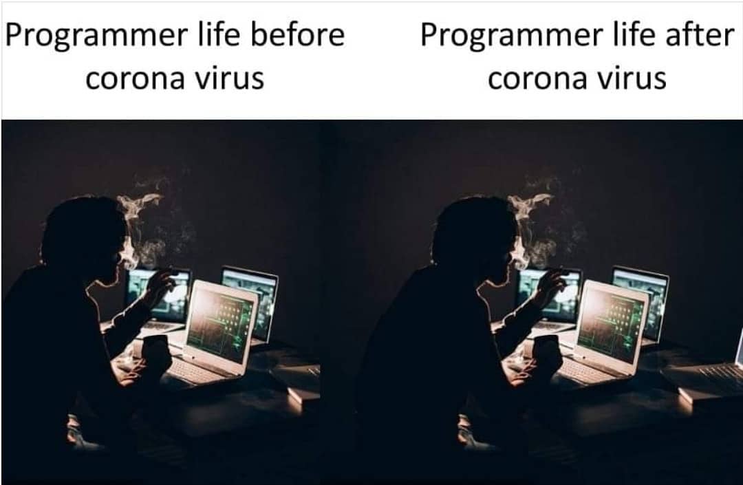 Donut programming. Jokes about programming. Bridge base онлайн. This programme before. Cacheman.