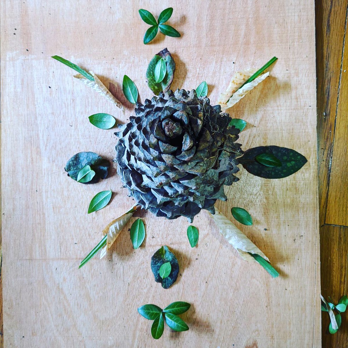 MsAucterCESU's tweet photo. Students are creating art from home—check out these amazing nature mandalas! https://t.co/dNWbWVP5BC