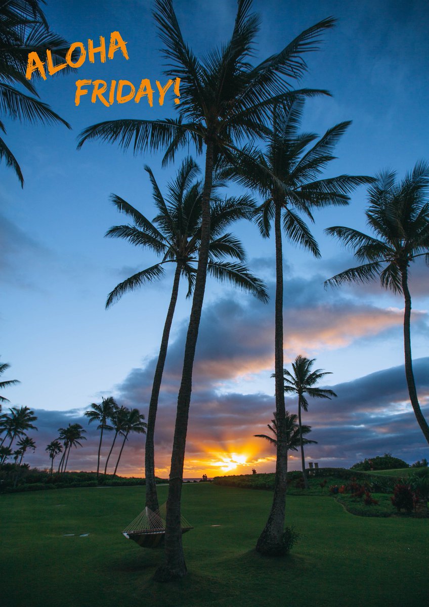 Aloha Friday! 🌴
"The best things in life are the people you love, the places you've seen, &amp; the memories you've made along the way!"

#AlohaFriday #vacation #memories #beach #palmtrees #kauai