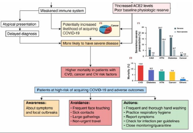 JACCJournals's tweet photo. Today in #JACCCardioOnc: Preliminary data suggests patients w/ #CVD &amp; #cancer, are among those at highest risk of not only acquiring #COVID19, but also having worse outcomes. @SarjuGanatraMD et al. examine disease interactions in the novel #coronavirus.

https://t.co/1h6kTxRtkJ https://t.co/hEDSC5kEkh