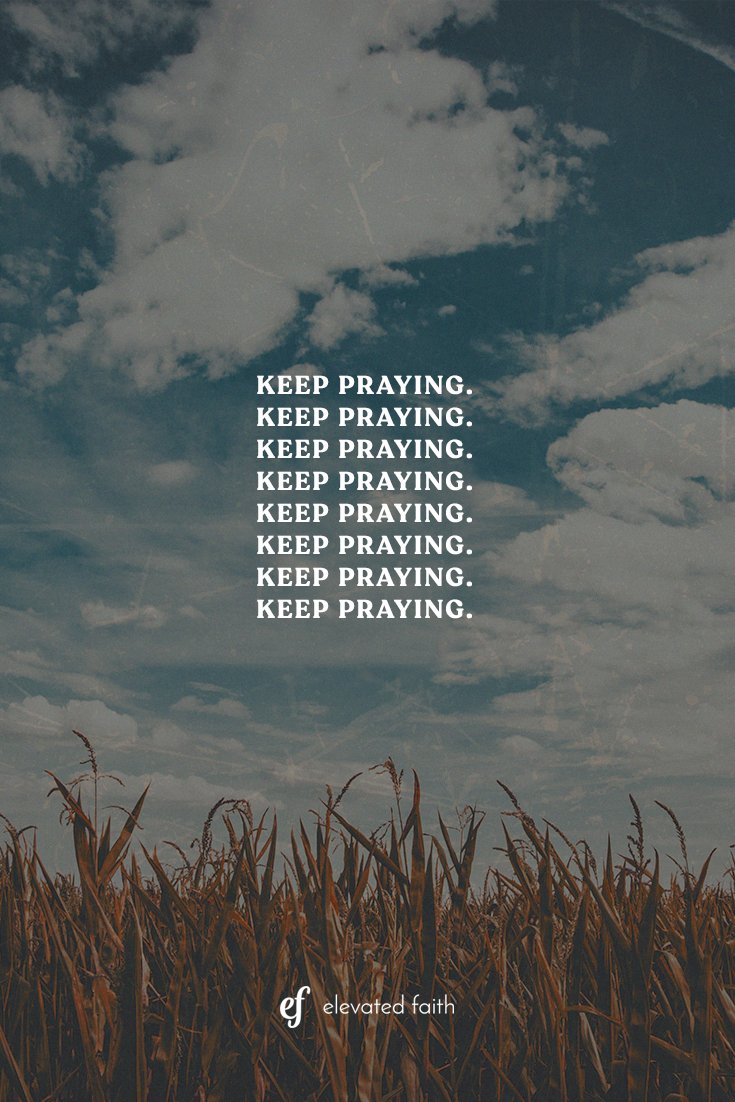 ElevatedFaith's tweet photo. https://t.co/rTzoDwOlZb