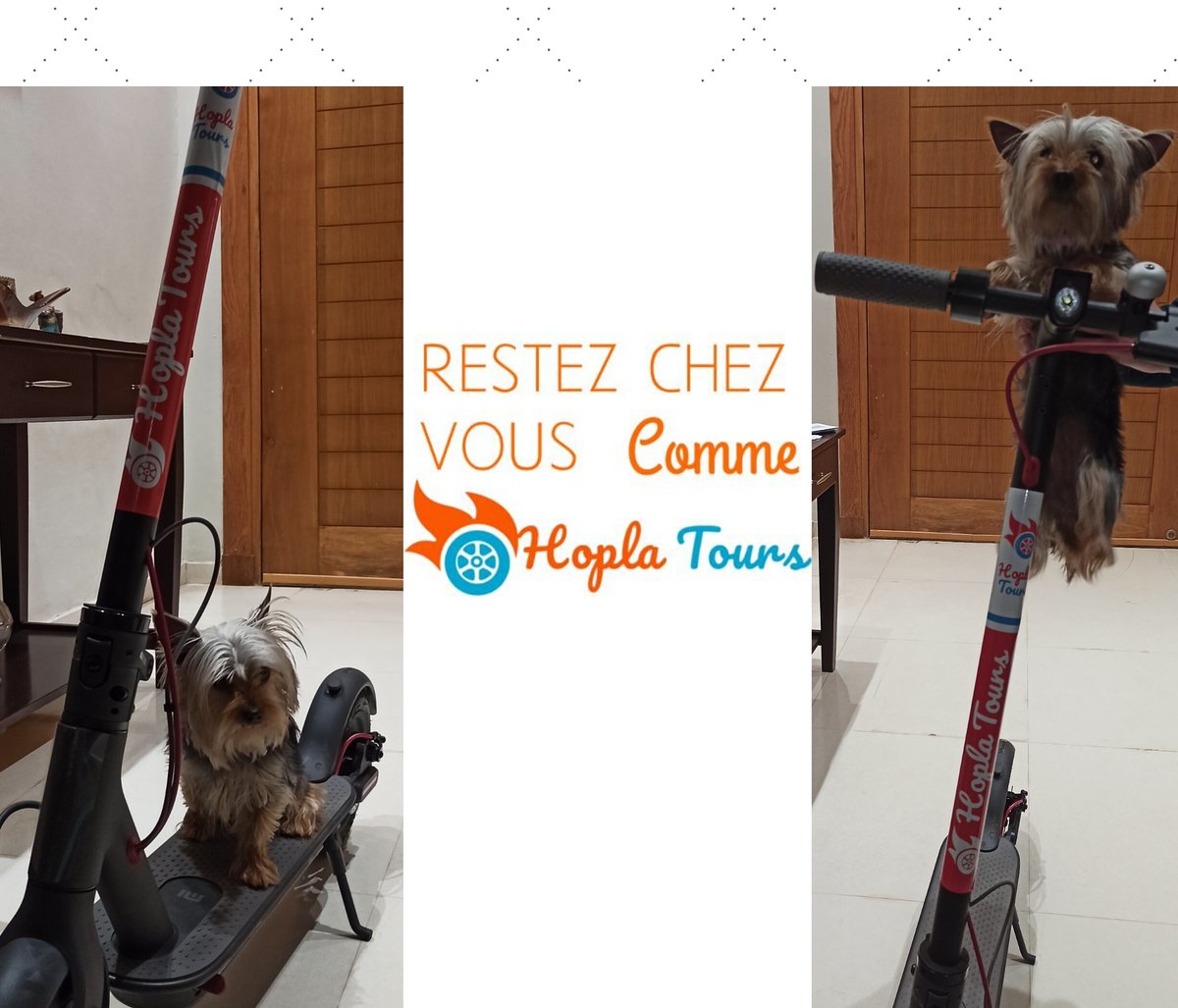 HoplaTours's tweet photo. #Hoplatours et Chloé restent à la maison. #Enjoy Your ##City and #home #StayAtHome https://t.co/mW5W9GZJu8
