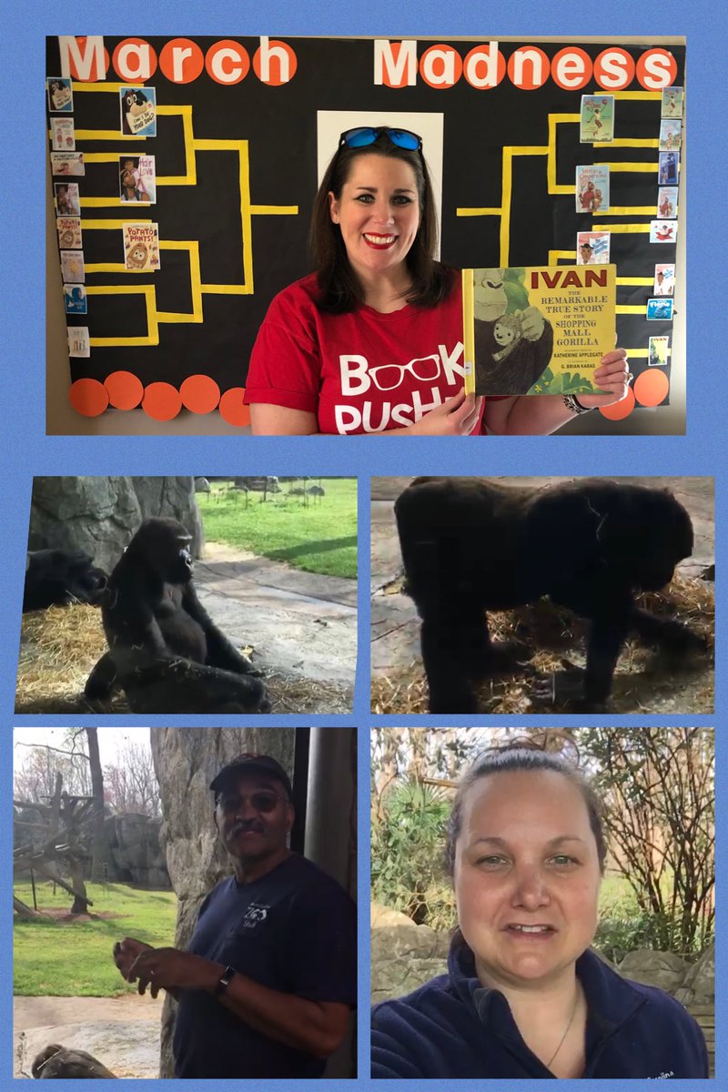 Laurin Rose tweet media