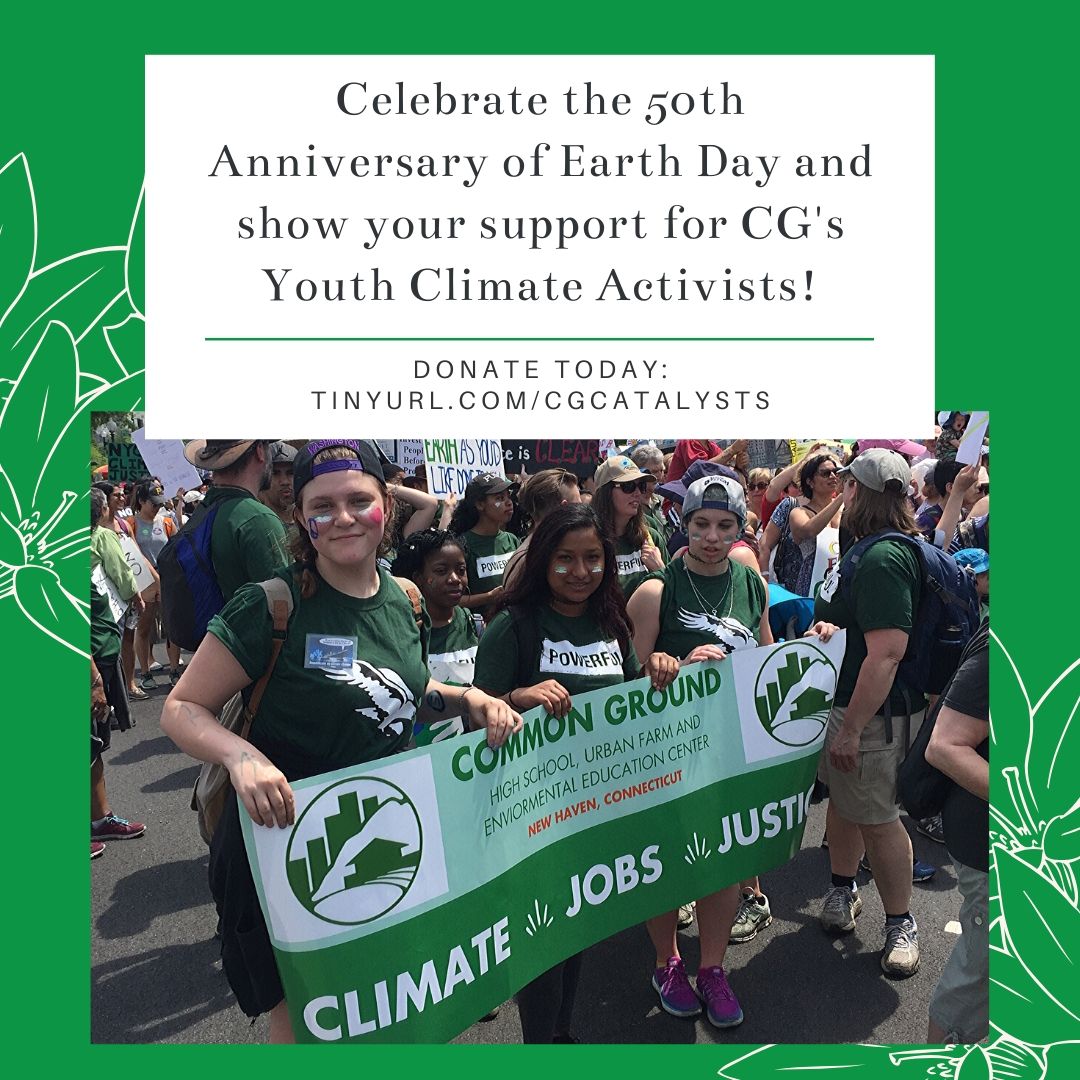 CommonGroundCT tweet media