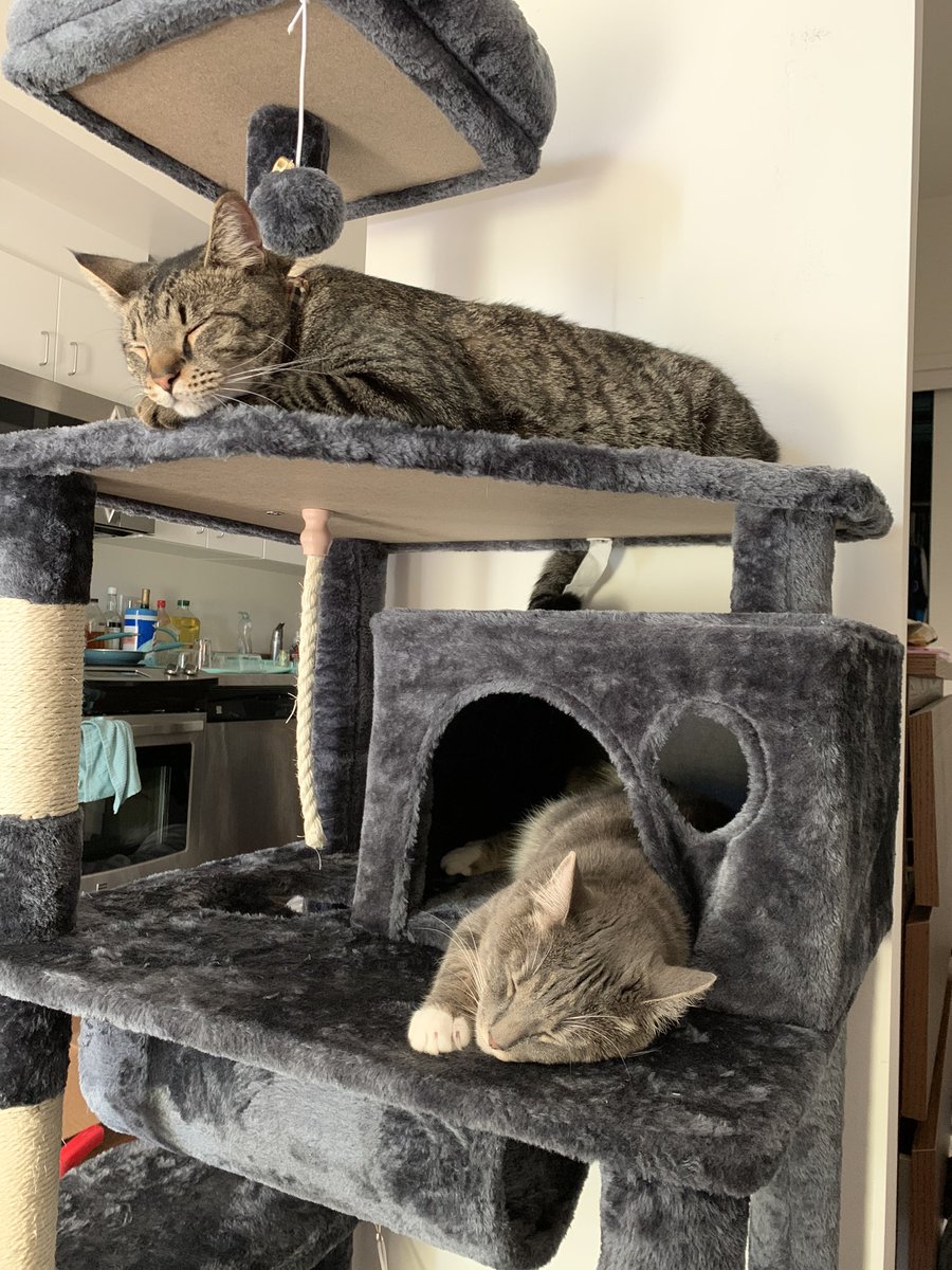 Aaron Dang tweet media