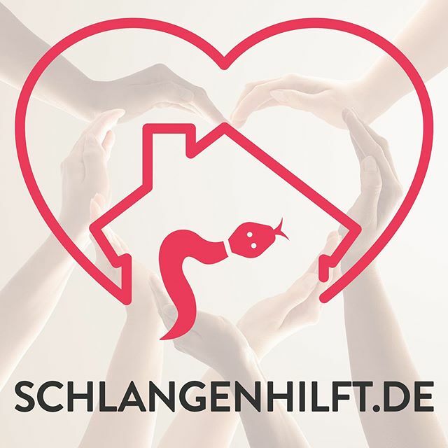 HenningSchwarze's tweet photo. Die nächsten Wochen werden für uns alle sicher nicht ganz einfach. Auch in der Gemeinde Schlangen werden viele Menschen auf Unterstützung aus der Gemeinschaft angewiesen sein. Unter https://t.co/lbssl4q2qb möchten wir Hilfsangebote, wie sie beispielswe… https://t.co/abIk2zBtRX https://t.co/avXr8n1RPt