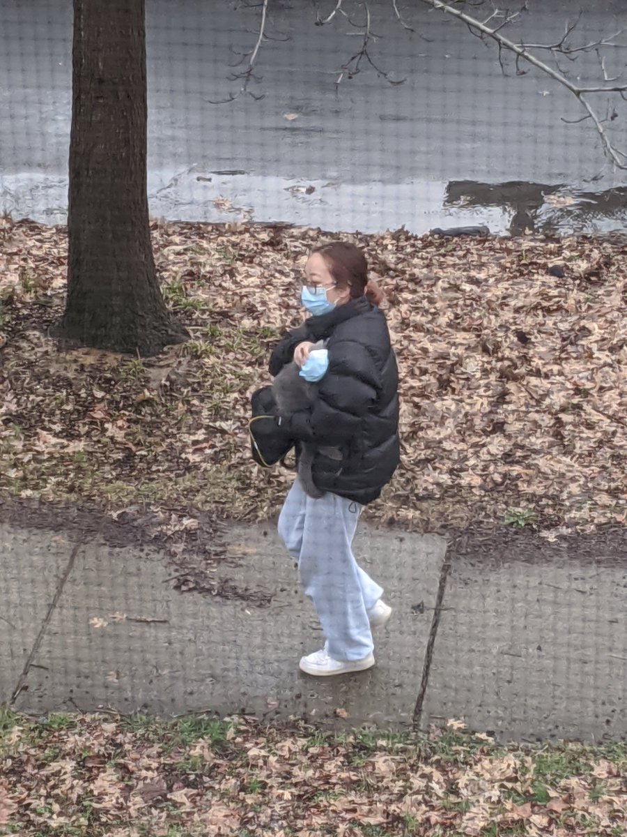 Madeline Thomas tweet media