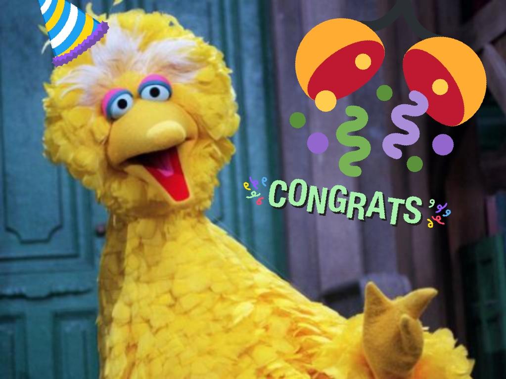 Sesame Street on Twitter: "Happy Birthday to our favorite feathered
