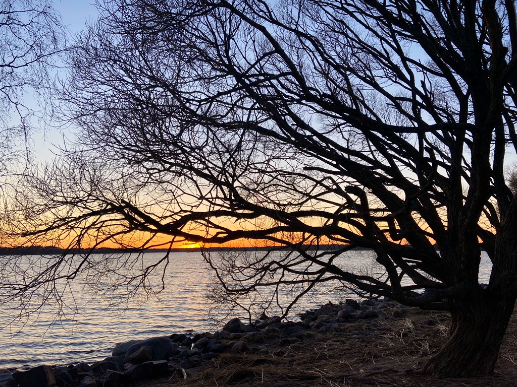 mtorkkeli's tweet photo. #Päivä 3/7 elämästäni kuvina, ei ihmisiä eikä sanoja. Minut haastoi @jariperkiomaki. Joka päivä haastetaan uusi kuvaaja ja tänään hän on @tiiatuomi https://t.co/NEzolnCfZr
