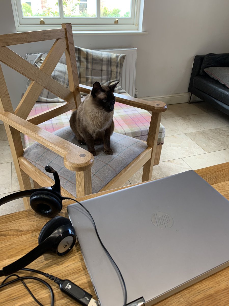 OnswitchLtd's tweet image. We end the week with #TeamOnswitch remote working here’s a few of them at morning chat 
Workstations at home with helpful cats and team Easter Eggs 
Plenty of jobs done and work completed 
Social chats at 10.30 and 3.30 to maintain social connection so far so good #OneVetTeam