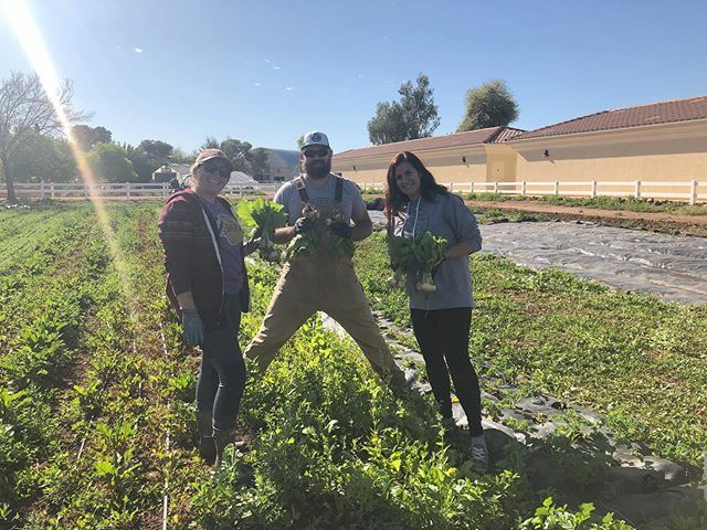 We’re still farming away 😀. We will keep you posted about what is available in the farm store. 
Enjoy some ☀️ today! ift.tt/2U6P8Up