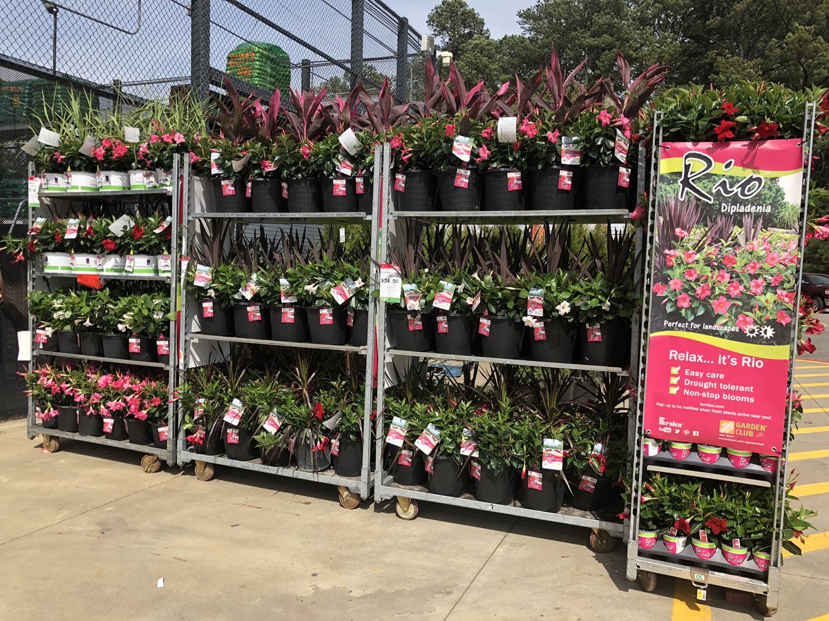 PPSLinda's tweet photo. HD1108 #relaxitsrio @DyerEric18 @PPSinHD @Stephen_E_Camp @erinnratliffhd @BobbyBoaenTHD @CHilliardTHD https://t.co/SrxdsG2IIQ