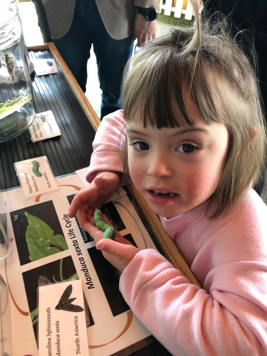 maggie_reardon tweet media