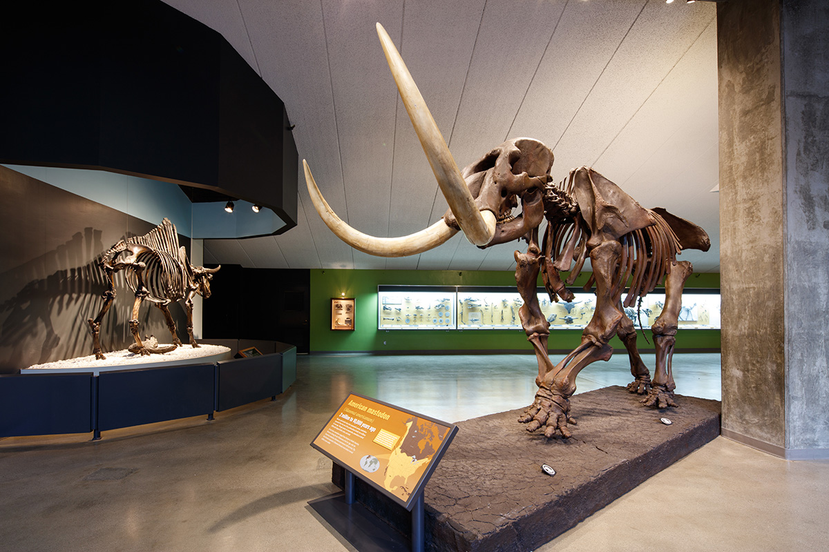 labreatarpits's tweet photo. Introducing 𝗡𝗛𝗠𝗟𝗔𝗖 𝗖𝗼𝗻𝗻𝗲𝗰𝘁𝘀! Explore our natural and cultural wonders safely and digitally from home with inspiring educators and scientists for virtual adventures. Access rich school curriculum, family activities, and more! Get connected: https://t.co/BxZgKGLFTc https://t.co/ep6D57vWrD