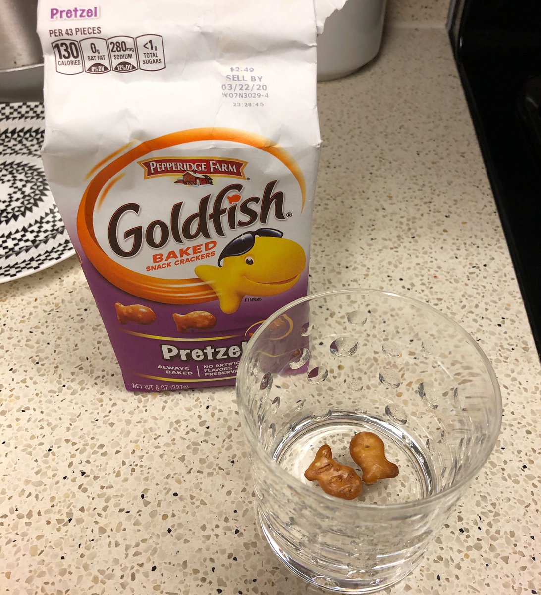KristofferLowe's tweet image. Really wanted a pet to get me through all this. #nyc #quarantine #petsofnyc #goldfish
