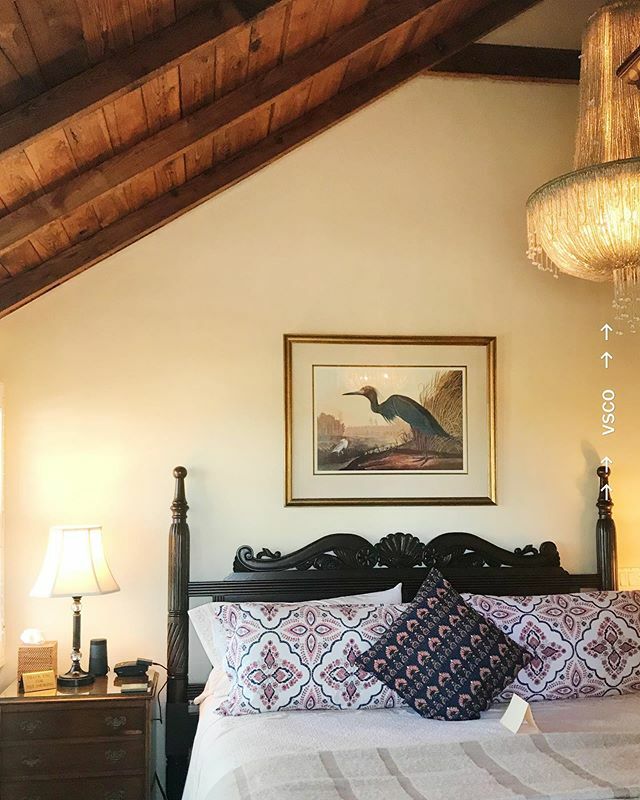 Love this cute b&amp;b in Melbourne Florida <a href="/portdhiver/">SK SAHIL ANSARI</a> #bridgetbearitravels #roadtrip #florida #hotelsofamerica #birthdayweek #isolating ift.tt/39cixR7