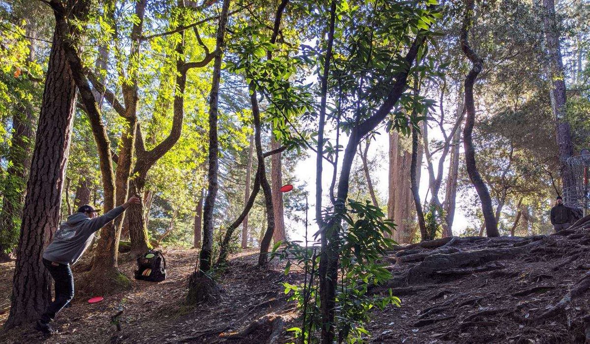 mapple62548's tweet photo. Delaveaga Hole 8a. Par save. #discgolf #delaveagadiscgolf #parsave https://t.co/b8C5umemYb