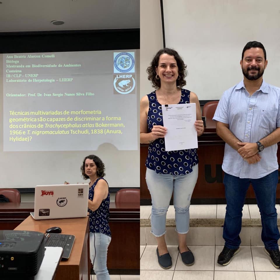ToadNunes's tweet photo. Balbúrdia em tempos de pandemia:
Ontem pela manhã a Bia Comelli defendeu mestrado sobre o uso da morfometria geométrica na diferenciação de espécies!!!
✌️🐸👩🏻🎓
#PPGBAC #LHERP #LHERPUNESP #UNESP #Herpetologia #Herpetology #Morfometria #Morphometrics #VidaDeCientista #VidaDeBiologo https://t.co/XJfav9Ai8K