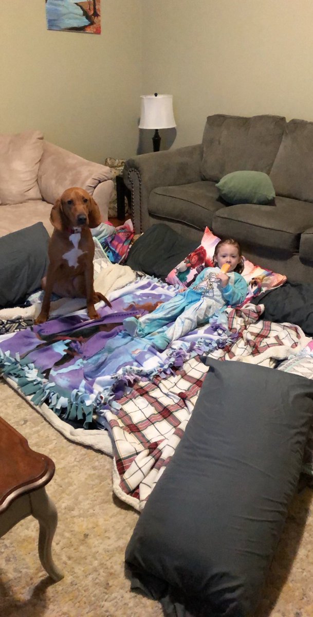 GHSWickScience's tweet photo. Quarantine Movie Night! Watching Frozen 2 for the gazillionth time ❄️ https://t.co/hNQhyPzsD8
