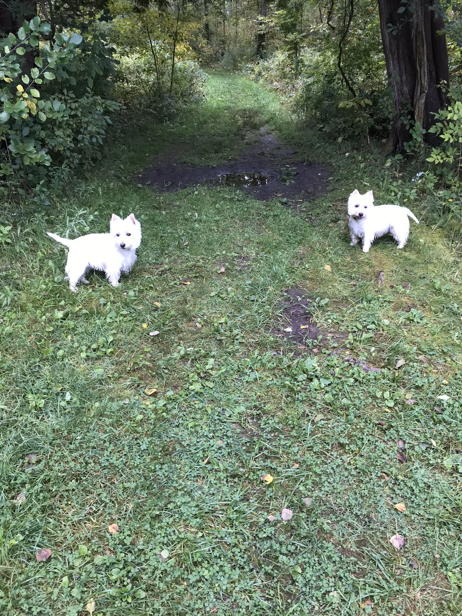 jillcolyer's tweet photo. @wrdsb Here is Mac and Andy 😀 https://t.co/UI2Ahq7e4p