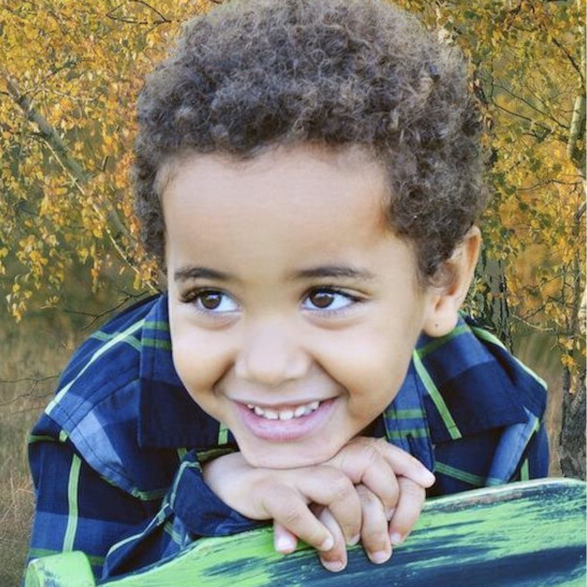 adoptionnetwork tweet picture